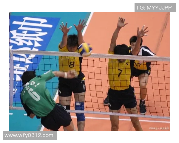 南京排球队的训练与赛事状态全解析展现排球魅力与团队精神
