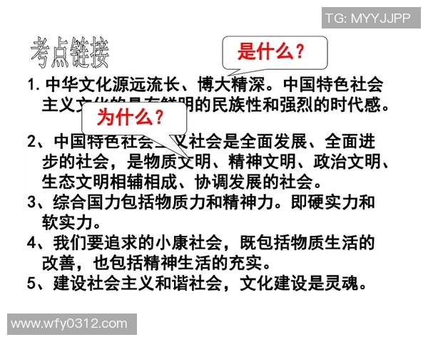 独行侠精神与现代社会个体主义的交织与冲突探析