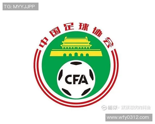足协改革与发展：推动中国足球整体提升与国际化进程的战略思考